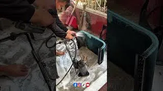 Thumbnail: aircon maintenance