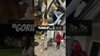 Thumbnail: “Gorilla”….. ⏳🦍🦍 #cars #nbayoungboy #lildurk #lilbaby #explore #shorts
