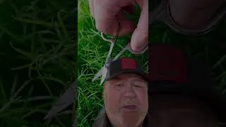 Thumbnail: I’m bored #genx #chores