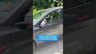 Thumbnail: Viral Video Appears to Show Tesla Driver Asleep Behind the Wheel