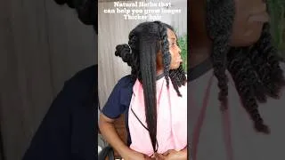 Thumbnail: Natural herbs to grow thicker , longer and healthier hair #hairgrowth