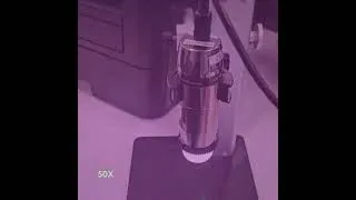 Thumbnail: Closer Inspection of a Microscope Slide of Blood Cells
