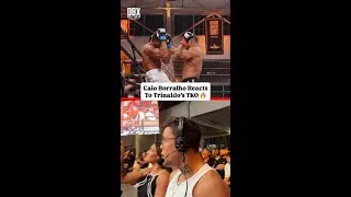 Thumbnail: Trinaldo's TKO left Caio Borralho SHOCKED 😳 #shorts