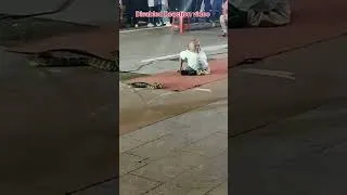 Thumbnail: Small Size, Big Courage! 💪❤️ #shorts#viral #inspiration #motivation #respect #hearttouching#trending