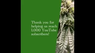 Thumbnail: A Thousand Thanks!
