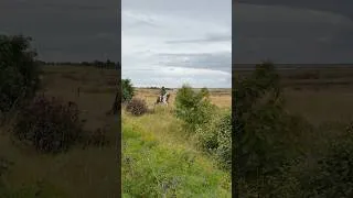 Thumbnail: Horse shopping in Iceland!! 😮 #horse #equestrian