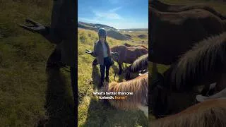 Thumbnail: Am I right? 😆🐴 #horse #equestrian