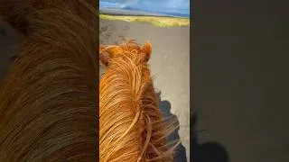 Thumbnail: This view amazed me!!! 😮😍🌈 #horse #rainbow
