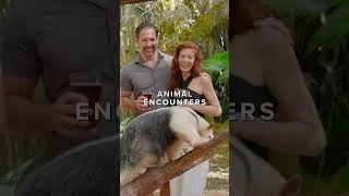 Thumbnail: Paradise Nights at Discovery Cove: What's included?