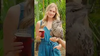 Thumbnail: Paradise Nights Overview at Discovery Cove