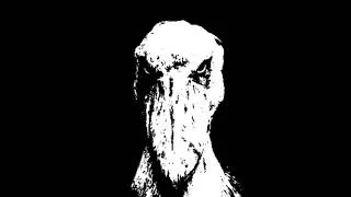 Thumbnail: black and white shoebill image with creepy music #horror #meme #shoebillstork #shorts #fyp