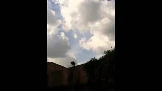 Thumbnail: CICS Irving Park Butterfly