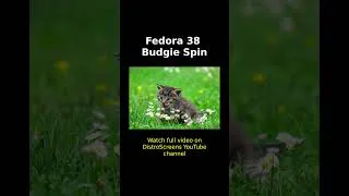 Thumbnail: Fedora 38 Budgie Spin Desktop Tour #shorts #linux #opensource #fedora