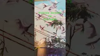 Thumbnail: Take the Plunge toward your Healing today.🌹🧡🌹