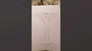 Thumbnail: Printable Moth Coloring Pages #coloringpages #shorts