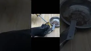 Thumbnail: A clever way to repair a broken hammer handle!#diy #helve hammer