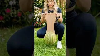 Thumbnail: This Garden Decoration Looks Expensive But Nobody Will Guess How It Was Made 😱🪿💚