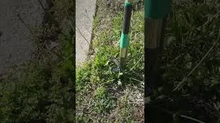 Thumbnail: This Garden Tool Pulls Weeds Out by the ROOT🌱 #garden #springdiaries #diy #gardening #diyprojects