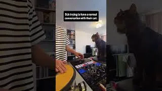 Thumbnail: Stop that right MEOW! 😸  @djvadimbw_