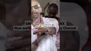 Thumbnail: ONEDROP REGGAE VIDEO MIX 🔥🔥💯❤️💛💚