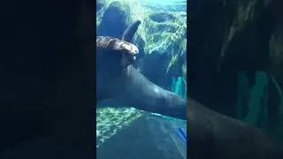 Thumbnail: Utah’s Hogle Zoo