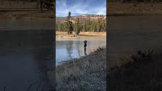 Thumbnail: Christmas Tree Hunt 2021-Tropic Reservoir￼