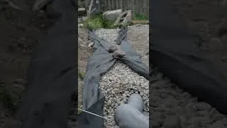 Thumbnail: I Started Building A House! Filling With 100 Tons Of Soil Without Machines #diy #dmitrylukin