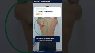 Thumbnail: Winged Scapula in 5 Seconds! | NEET PG 2026
