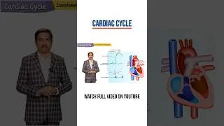 Thumbnail: 🫀 Watch Cardiac Cycle Masterclass with Dr. G Bhanu Prakash | Coming Feb 14th @ 7PM! 🩺🫀