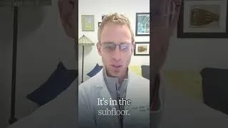 Thumbnail: Why Air Testing for Mold Misses the Mold