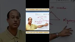 Thumbnail: What Does the Autonomic Nervous System Actually Do?