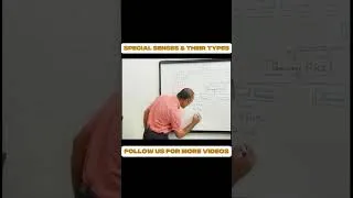 Thumbnail: Special Senses & Their Types | Anatomy Made Easy