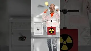 Thumbnail: Nuclear flies