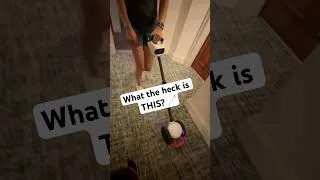 Thumbnail: A new mobility aid for blind and low vision folks?