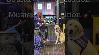 Thumbnail: Sound desensitization training: Music store edition 🎸🐾