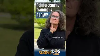Thumbnail: Does Reinforcement Training Really Take Longer?