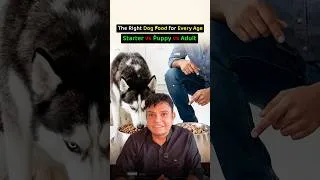 Thumbnail: The Right Dog Food for Every Age, Starter vs Puppy vs Adult❓
