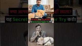 Thumbnail: क्या आपका Dog खाना नहीं खाता❓ यह Secret Food Topper Try करो❗️