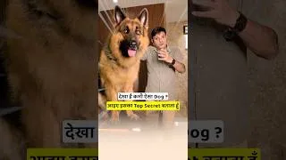 Thumbnail: देखा है कभी ऐसा Dog❓ आइए इसका Top Secret बताता हूँ❗️