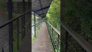 Thumbnail: DO Here&There