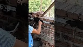 Thumbnail: Install hard conduit to protect the wires #constructionworker #buildahouse #doithoxayvlog #american