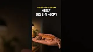 Thumbnail: 모프는 아무도 모르는데, 이름은 5초 만에 생겼습니다