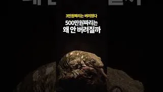 Thumbnail: 3만원짜리는 버려졌고, 500만원짜리는 안 버려지는 이유