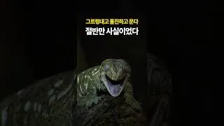 Thumbnail: 무는 도마뱀… 절반만 사실이었다