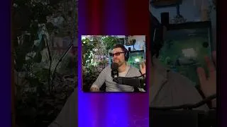 Thumbnail: Travis McElroy joins the book club to discuss The 7 1/2 Deaths of Evelyn Hardcastle.