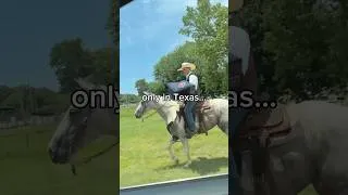 Thumbnail: guess he wanted to take the scenic route