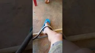 Thumbnail: Bắt được rắn giáo, thành quả là đây!