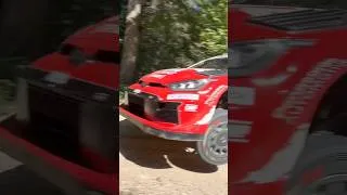 Thumbnail: WRC Rally Estonia Crazy Flat Out by Sami Pajari🚀