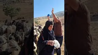 Thumbnail: The Strength of a Nomadic Woman: Grandma Parizad Fell, but She Refused to Give Up