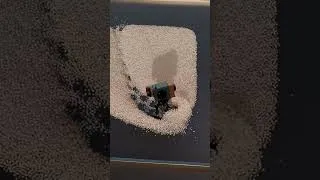 Thumbnail: Robotics Walks